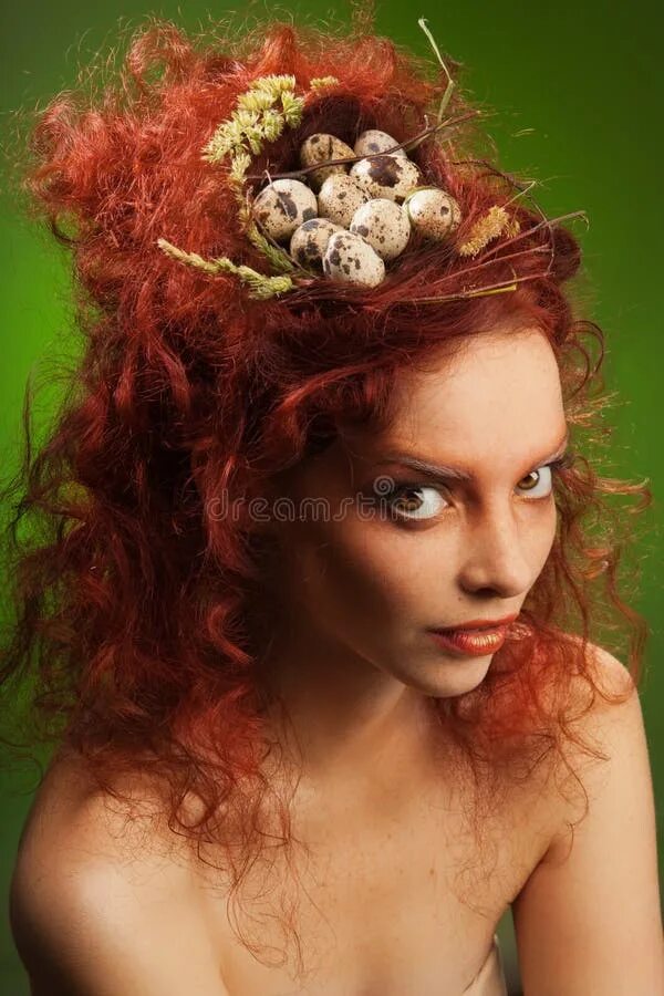 Прическа гнездо женская Nest instead of hairstyle stock image. Image of portrait - 22969365