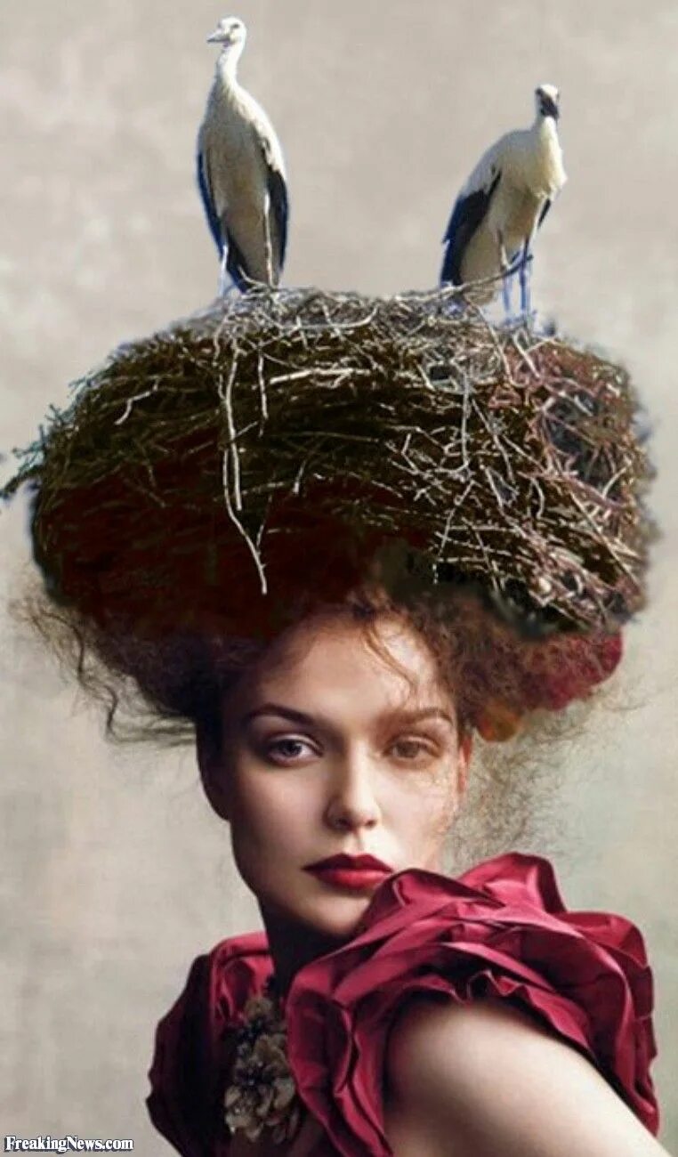 Прическа гнездо женская Bird-s-Nest-Hat Bird nest hair, Crazy hair, Feathered hairstyles