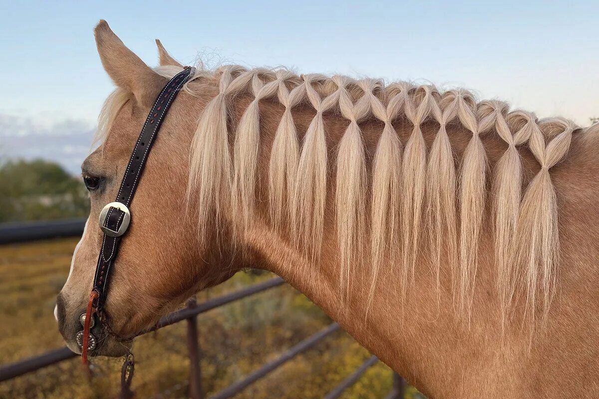 Прическа грива женская A Gorgeous Summer Horse Hairstyle To Try This Weekend Horse braiding, Horse mane