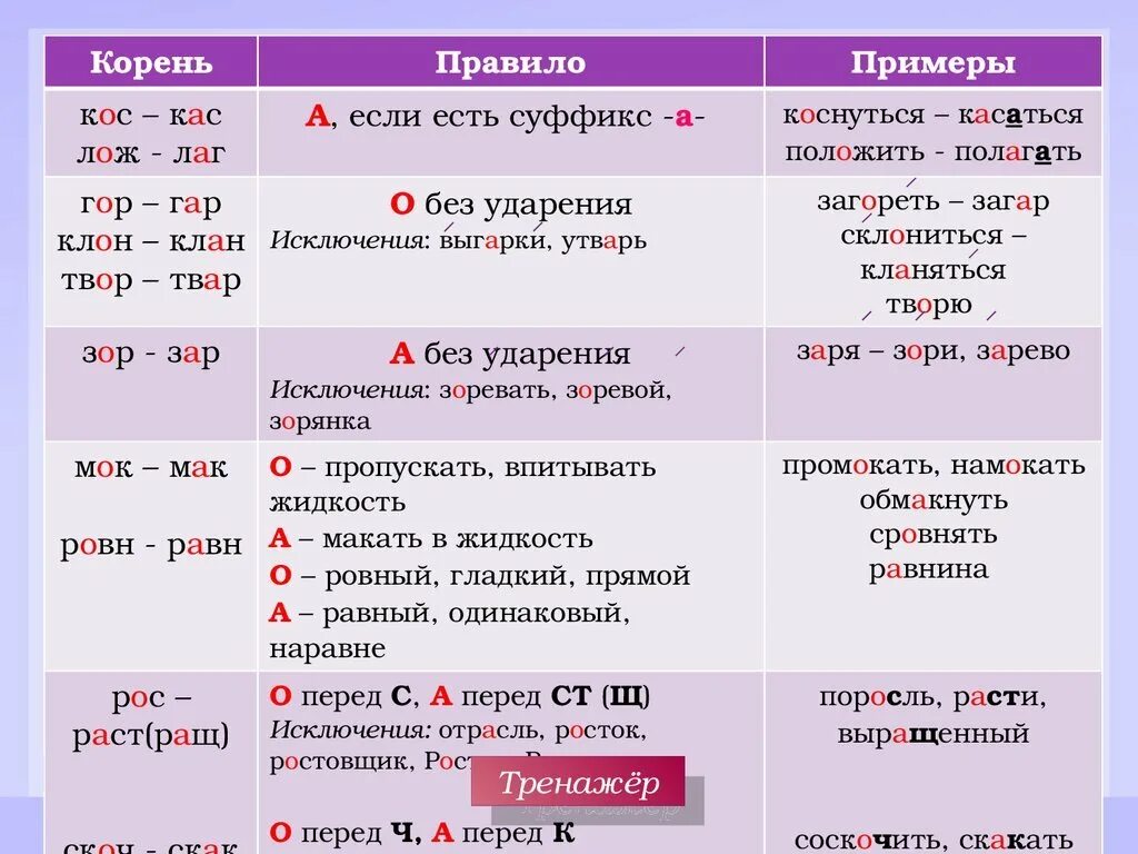 Прическа какая орфограмма Картинки СОСНА ОРФОГРАММА В КОРНЕ