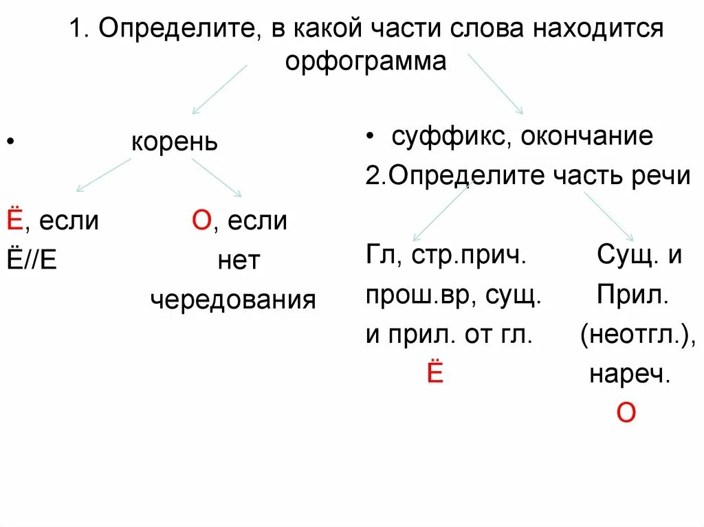 Правила орфограммы - Вопросы и ответы