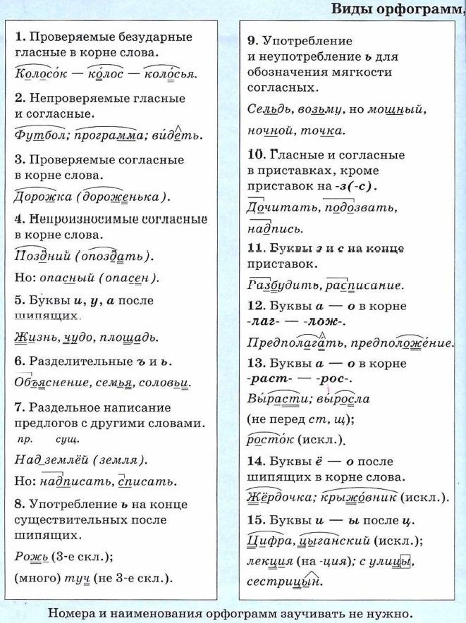 Прическа какая орфограмма Виды орфограмм. Русский язык 6 класс. Ладыженская Задания на грамотность, Грамма