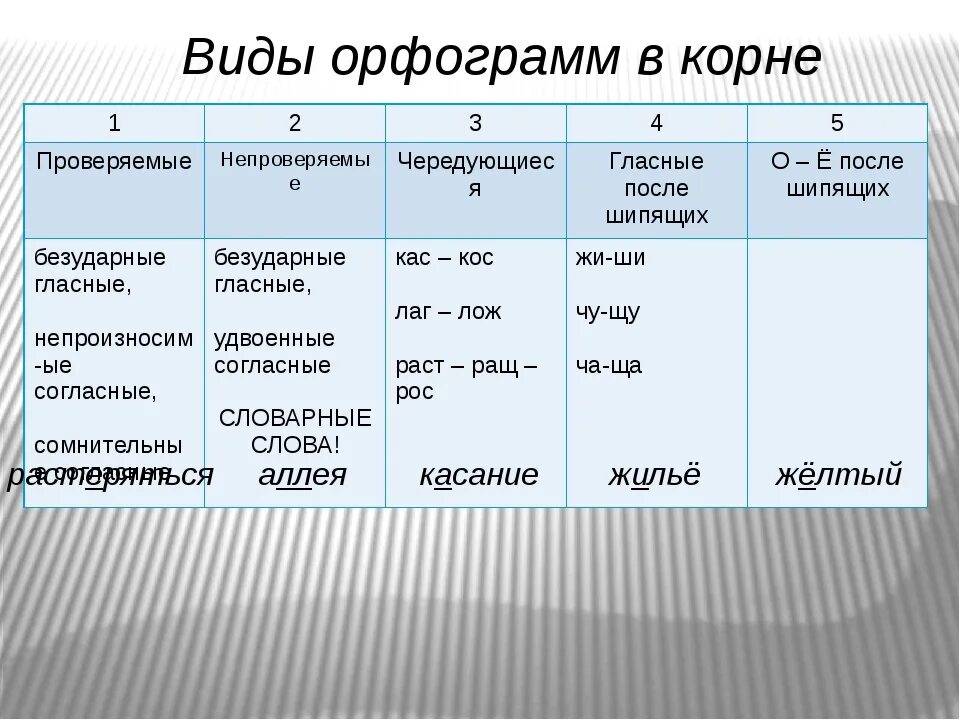 Прическа какая орфограмма Картинки СОСНА ОРФОГРАММА В КОРНЕ