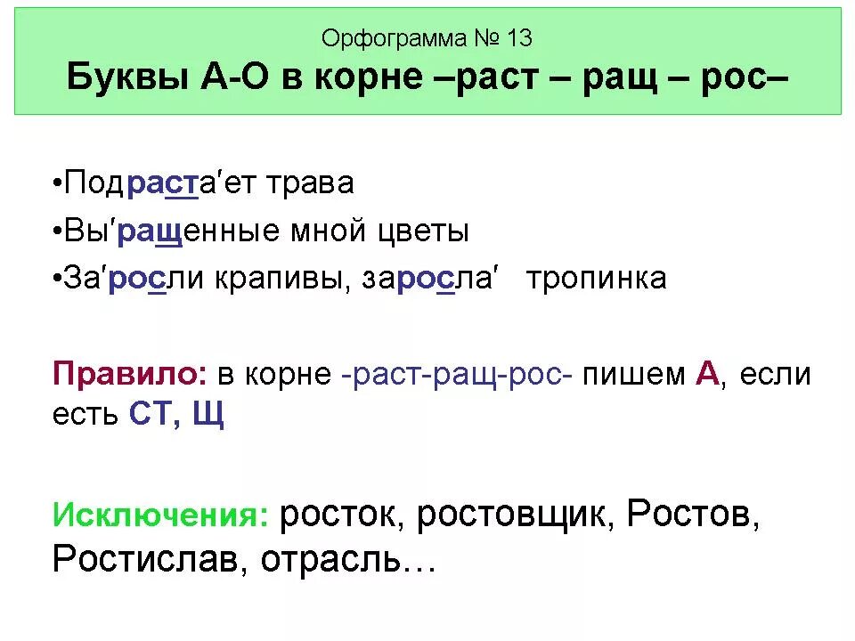 Прическа какая орфограмма Скачать картинку ПОЧУВСТВОВАЛ ОРФОГРАММА № 16