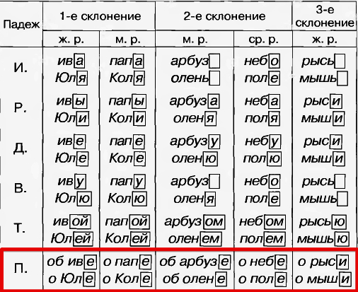 8 слов 2 склонения: найдено 84 картинок