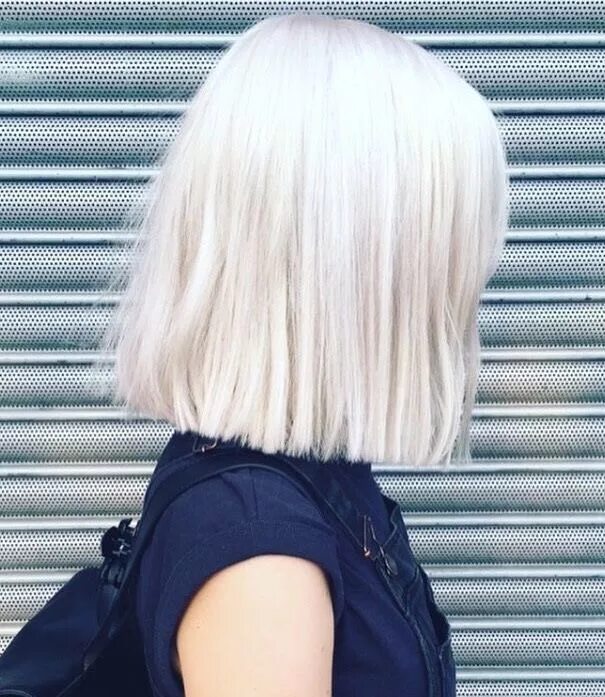 Прическа каре белые волосы Pin on Fashion Short white hair, Short hair styles, Womens hairstyles