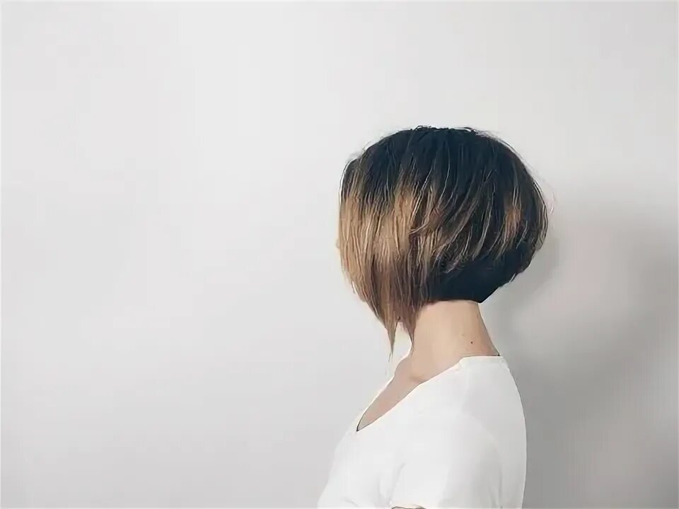 Прическа каре со спины Pin on Hairdressing