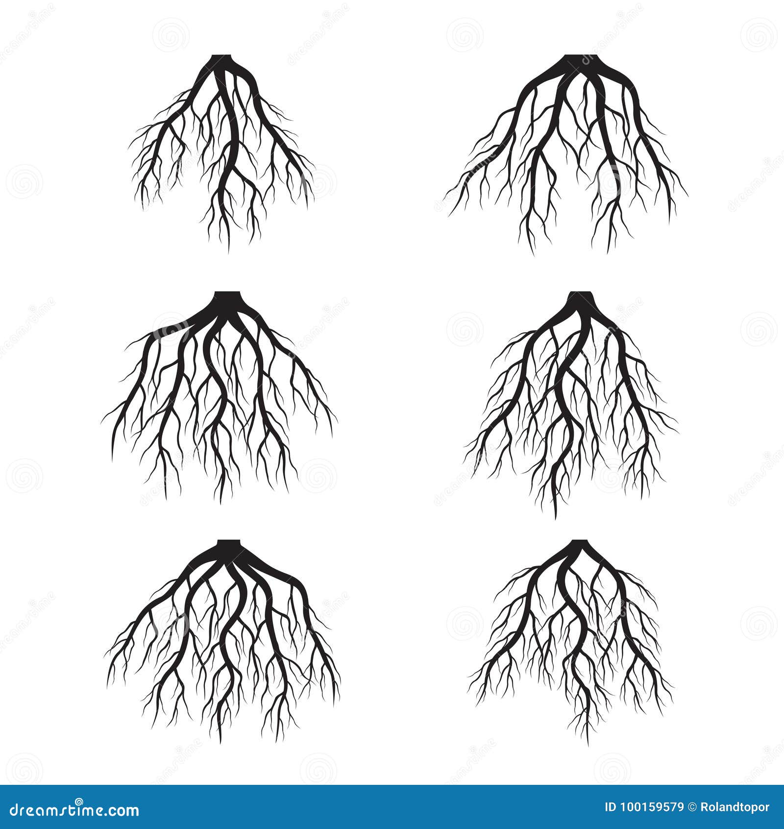 Прическа корень Set of Black Roots. Vector Illustration. Stock Illustration - Illustration of wa