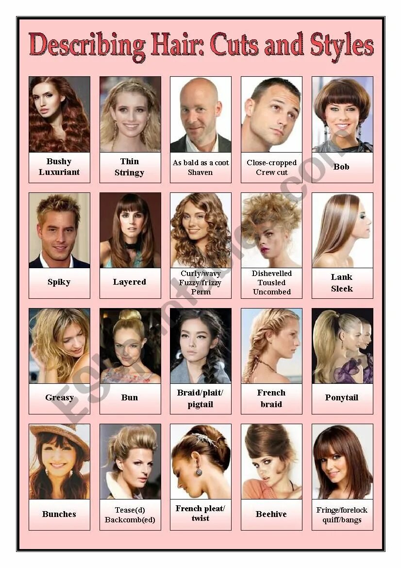 Прическа на английском Describing Hair - Cuts and Styles - ESL worksheet by katrinz