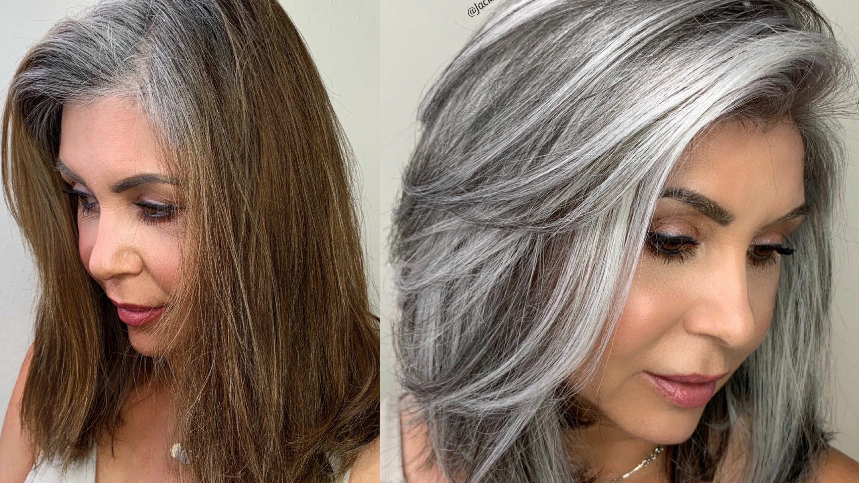 Прическа на длинные седые волосы A Colorist Explains How to Get the Silver Hair of Your Dreams Grey hair transfor