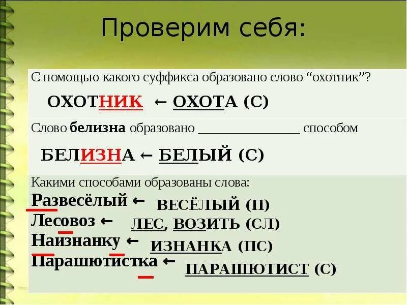 Прическа от какого слова образовано От какого слова образовано слово отбелить