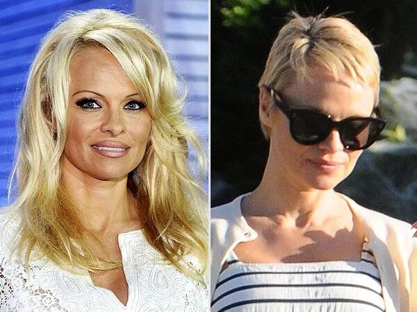 Прическа памелы андерсон пучок как сделать Pamela Anderson Cuts Her Hair Into a Pixie Cut her hair, Short hair styles, Cele