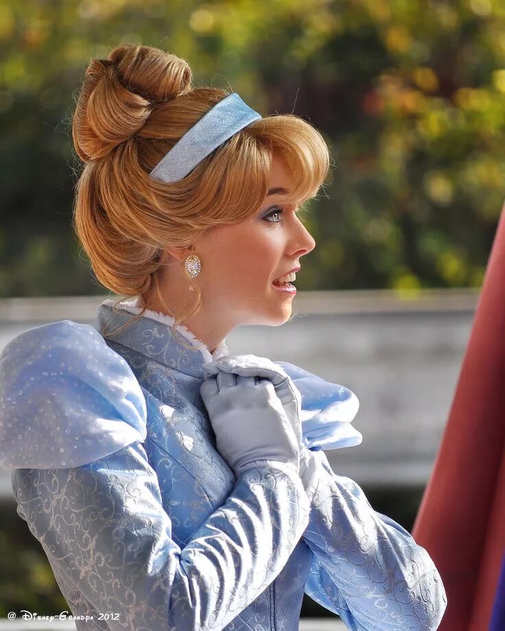 Прическа принцессы The magical Disney Costumers Disneyland princess, Disney cosplay, Cinderella