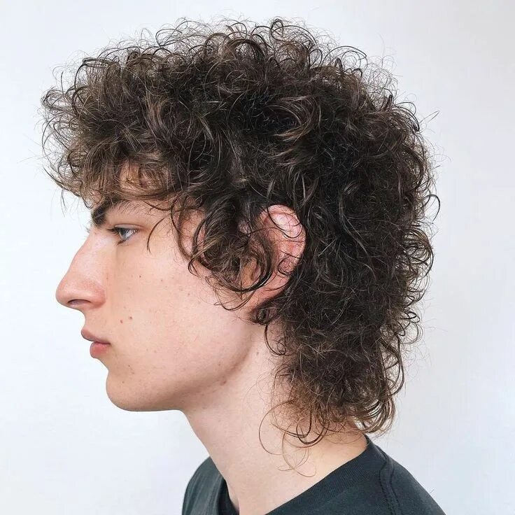 Прическа шегги мужская 25 Best Shag Haircuts for Men 2024 Style Guide Curly shag haircut, Shag hairstyl