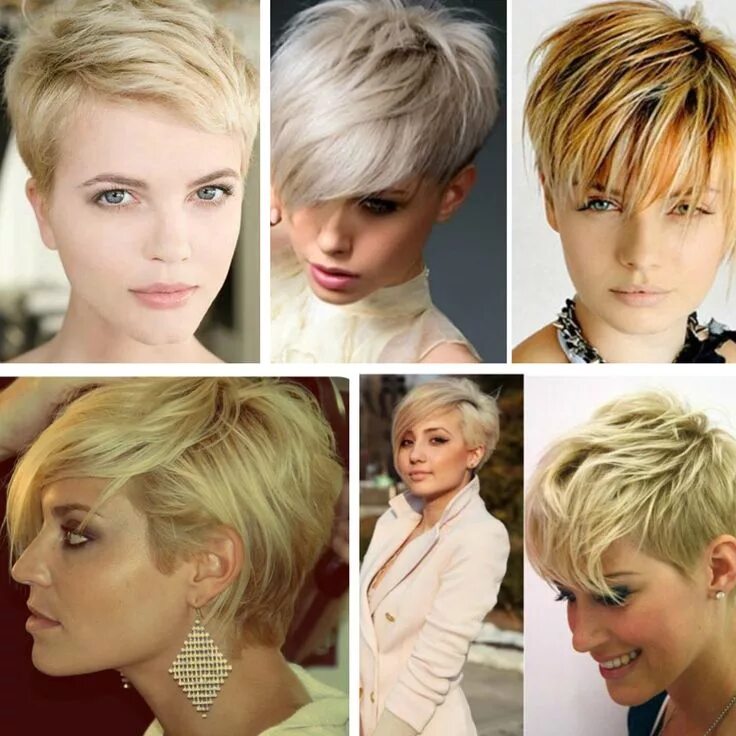 Прическа стрижки на короткие волосы женские Архивы Стрижки - Adfave Short hair cuts for women, Short hair styles, Hair photo