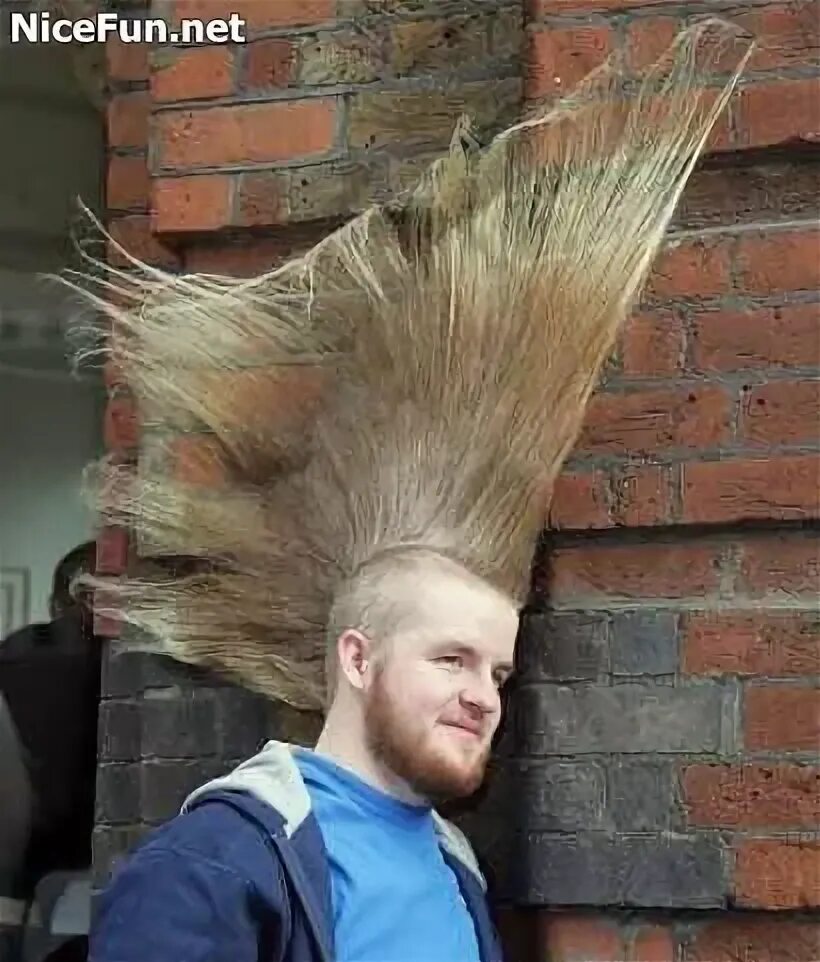 Прическа торчит Pin on What is wrong with this picture? Hair humor, Crazy hair, Bad hair