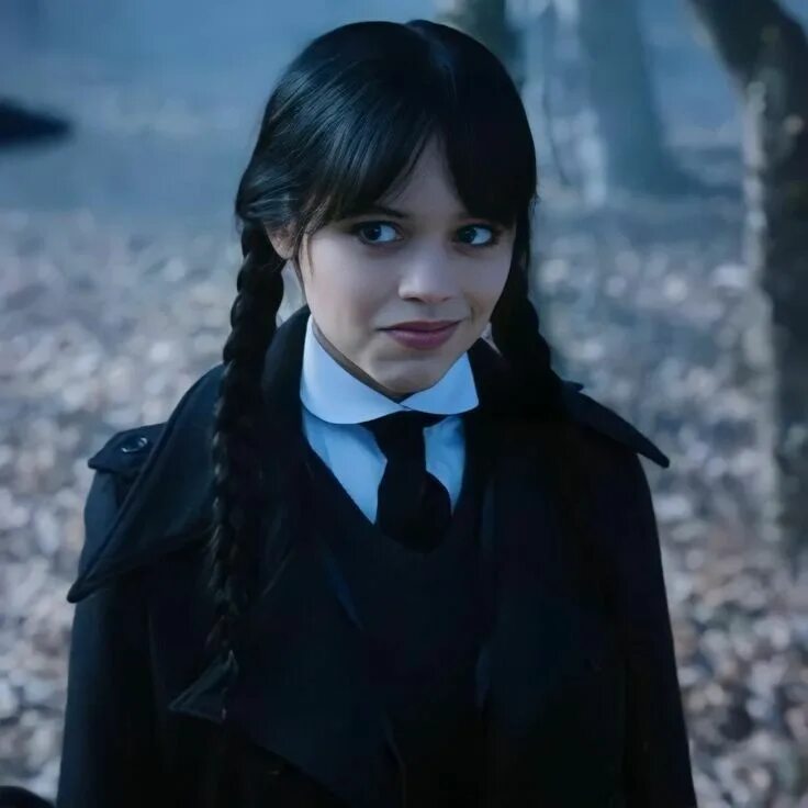 Прическа уэнсдей для девочки Уэнсдэй Wednesday addams, Wednesday movie, Jenna ortega