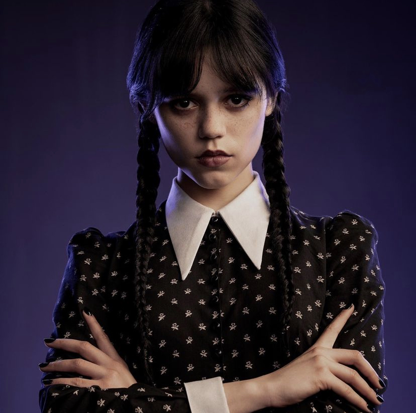 Прическа в стиле уэнсдей для девочки Wednesday Addams Netflix Wiki Fandom