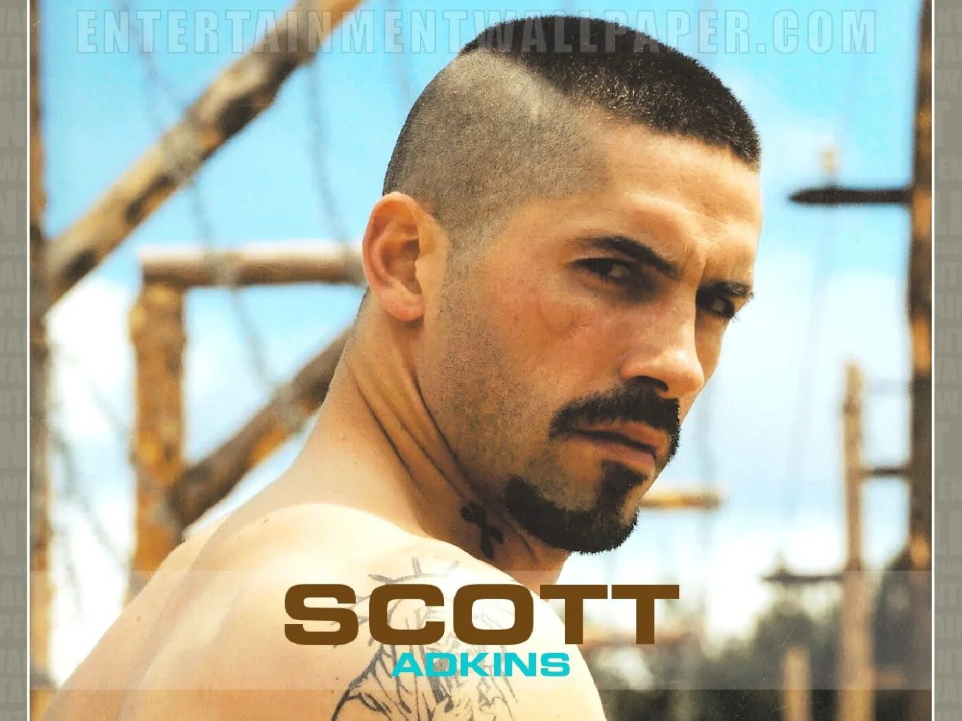 Прическа юрий бойко фото Beloved Actor Scott Adkins Desktop wallpapers 1400x1050