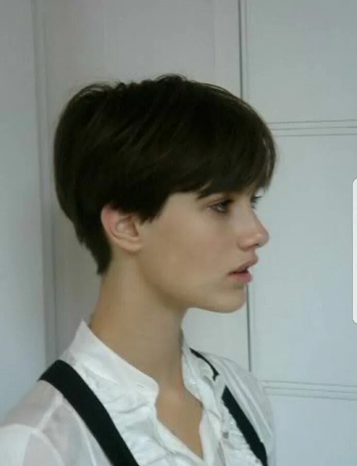 Прически каре под мальчика Пин на доске Short Hair Идеи причесок, Коротковолосые девушки, Стили стрижек