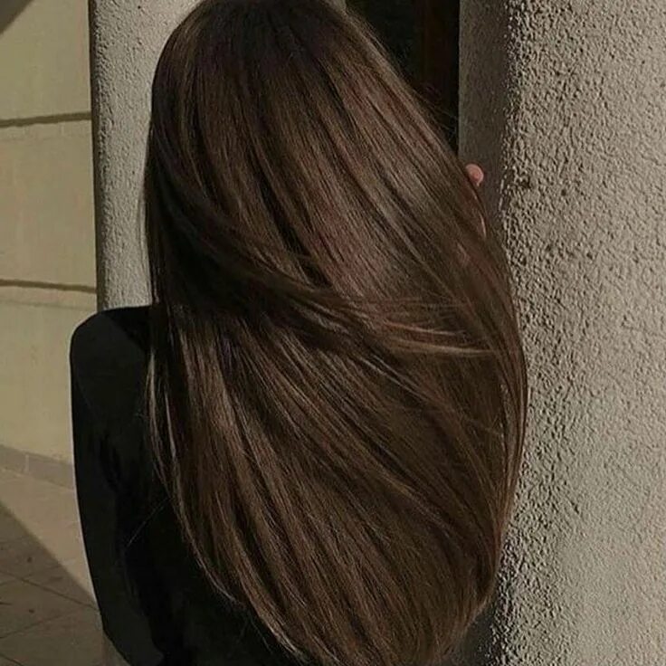 Прически коричневые волосы Pin by Lexie Dixon on Hair in 2022 Long hair styles, Brown hair inspo, Hair styl