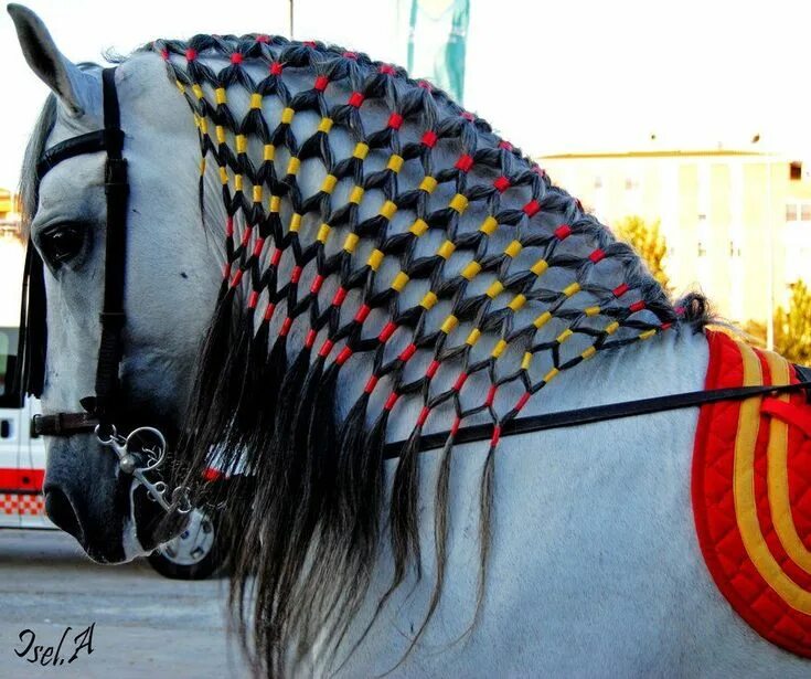 Double mane braid. Running braid. Long mane. Horses. Horses, Horse mane, Horse m