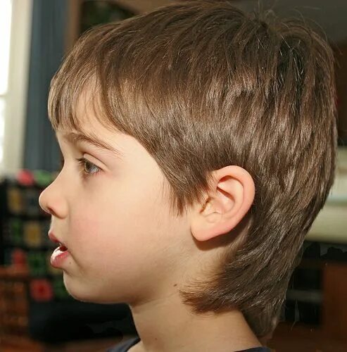 Прически мальчиков сзади длинные Flickr Toddler hairstyles boy, Boy haircuts long, Boy hairstyles