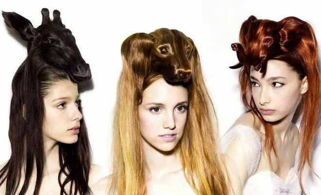 Прически на дискотеку на длинные волосы Creative Animal Hair Style Collections Hair styles, Hair, Weave hairstyles