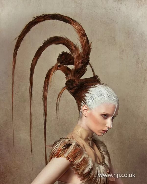 Прически на длинные волосы фантазийные Robert Masciave 2012 Avant Garde Hairdresser of The Year Finalist Hair art, Arti