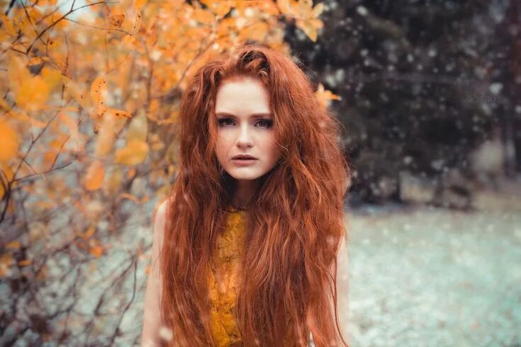 Прически на длинные волосы осень 2024 Pin on Рыжики Fall portraits, Autumn photography portrait, Autumn photography