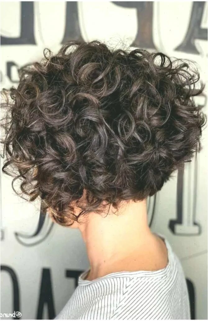 Прически на короткие кучерявые волосы 55 Beloved Short Curly Hairstyles for Women of Any Age! #lockigeFrisuren #shortc