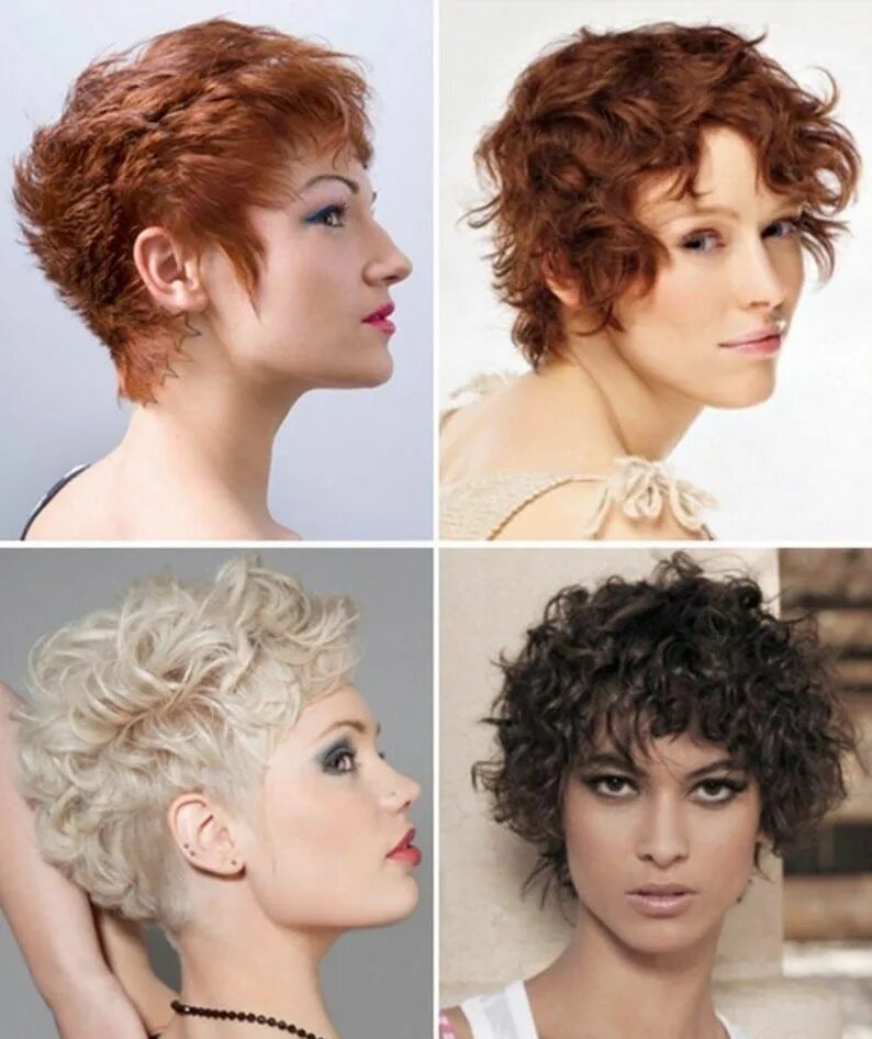 Прически на короткие волнистые волосы Pin on Стрижка Medium short hair, Short curly hair, Short hair pictures