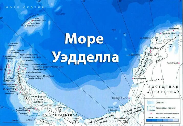 Прически на море на каре Море Уэдделла - самое чистое и мало изученное море в мире Наука.Факты.РФ Дзен