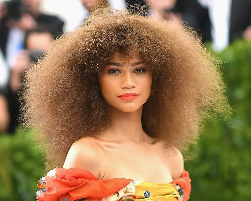 Прически на пышные волосы Zendaya's Best Red Carpet Looks