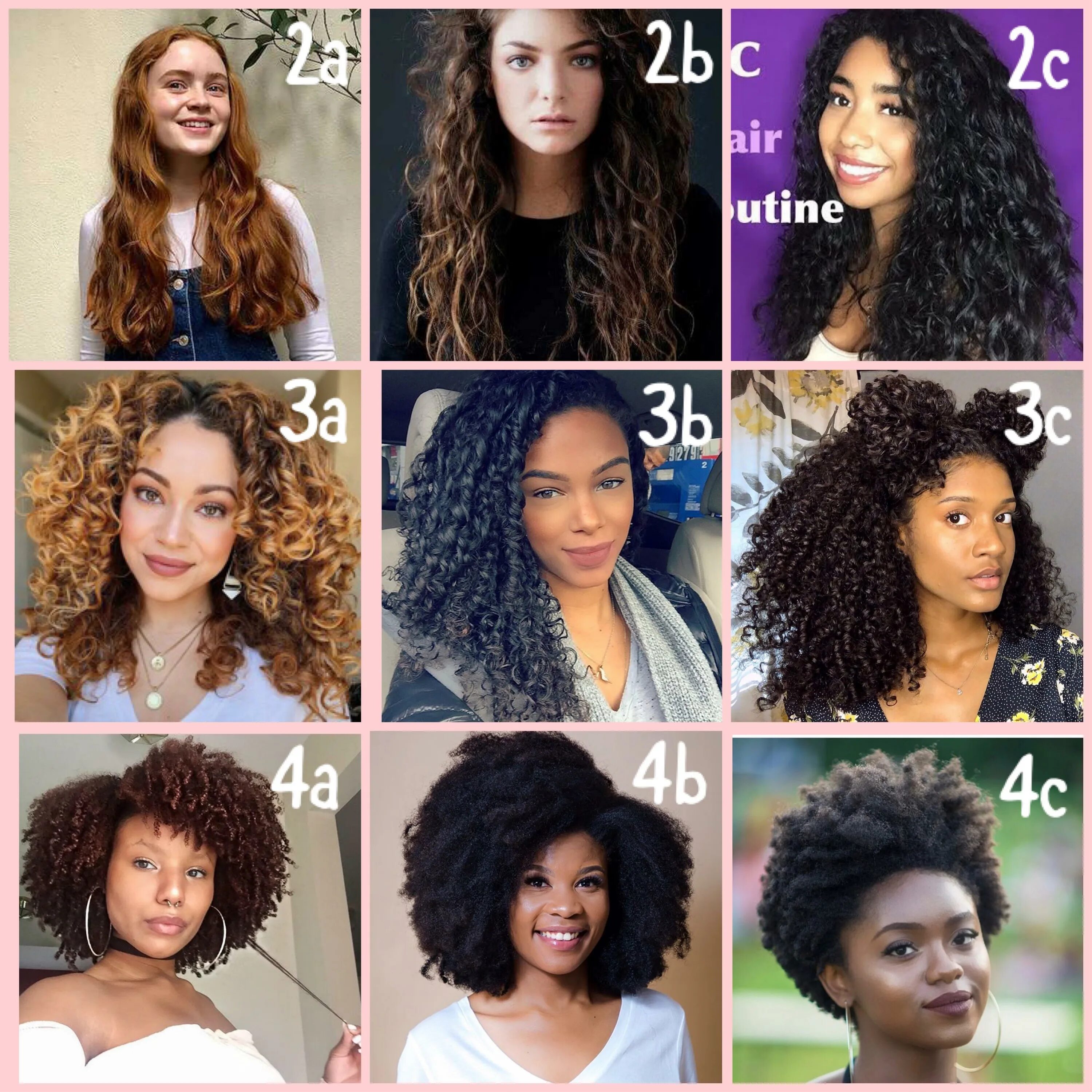 Прически на средний тип волос 10+ Types Of Curls Chart - Fashion Style