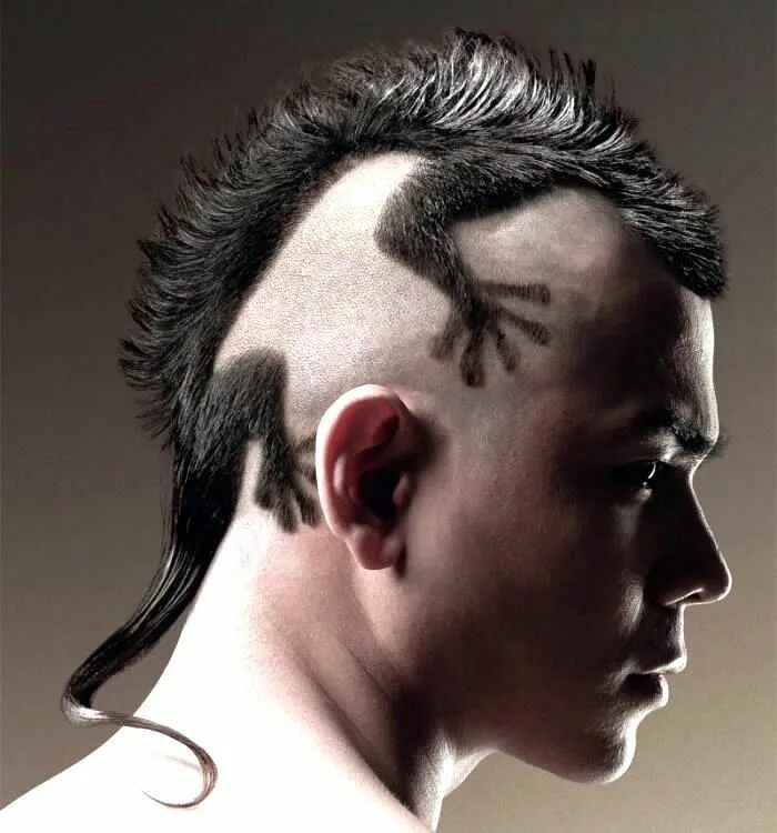 Прически парней 2024 нефор 40+ Humorous Print Ads Webdesigner Depot Lizard haircut, Crazy hair, Hair art