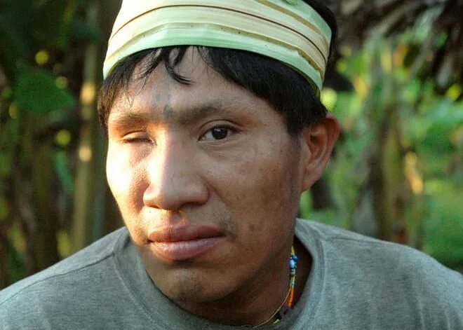 Прически перу Gallery: The Last Uncontacted People Amazone regenwoud, Masai, Houthakkers