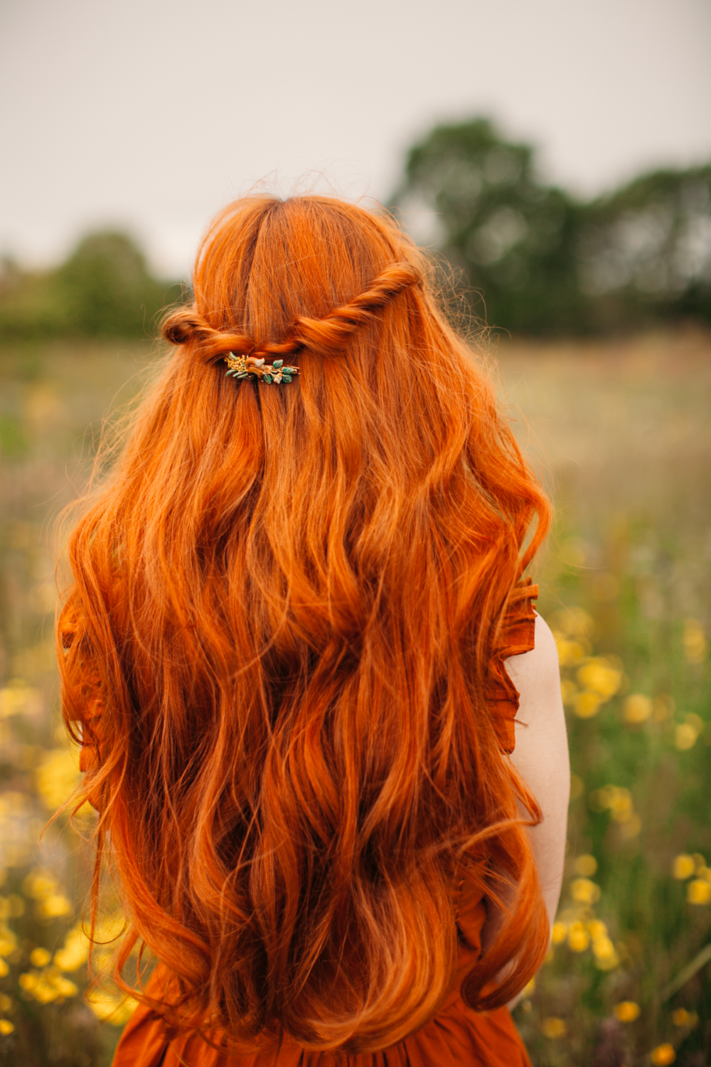 Прически рыжие волосы фото We'll Always Have Wildflowers Long hair styles, Hair styles, Ginger hair