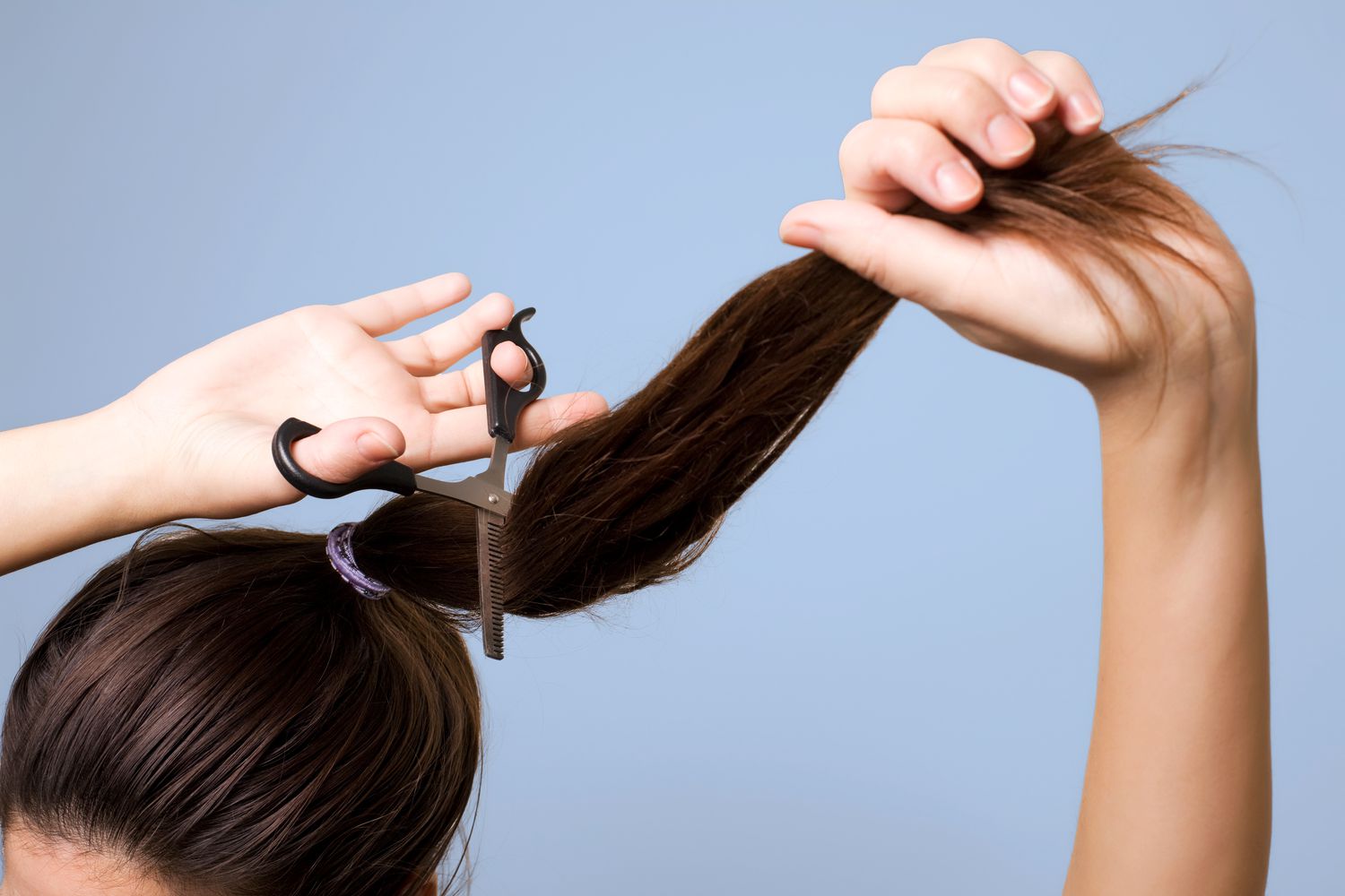 Прически стричь волосы Everything You Need to Know About Donating Your Hair