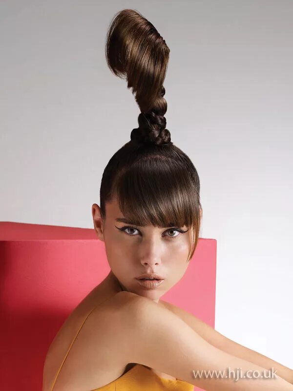 Прически утром 2009 ponytail updo hairstyle