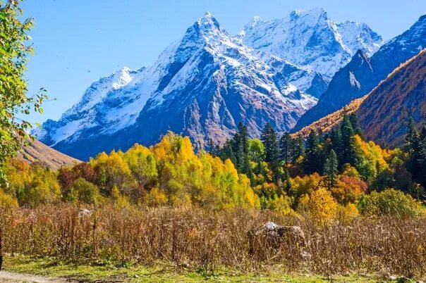 Приэльбрусье фото осенью Россия, осень на Домбае 2022 ФотоПутешествия Архитектура Музеи Природа ВКонтакте