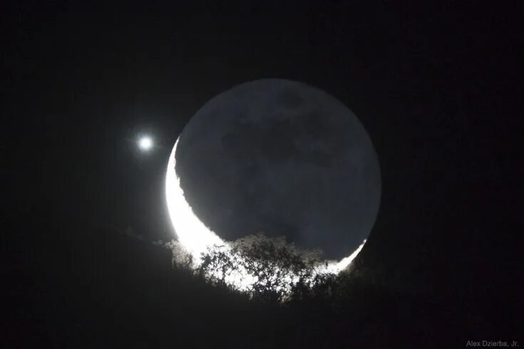 Прифотошопить луну на фото как Astronomy daily picture for February 06: Moon and Venus Appulse over a Tree Dail