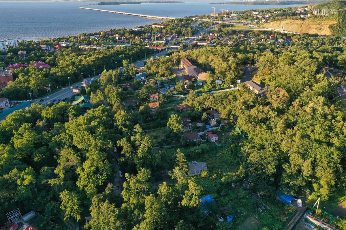 Пригород владивостока фото Крупный участок в пригороде Владивостока отдали под жилую застройку, местные жит