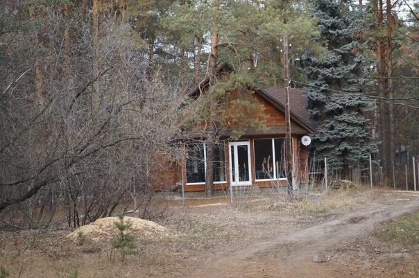 Пригородный лес фото Прокуратура не смогла осмотреть территорию бывшего лагеря "Орленок", на которой 