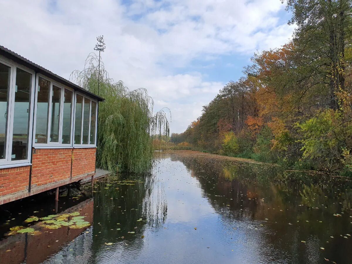 Пригородный лес тамбов фото Микрорайон пригородный лес