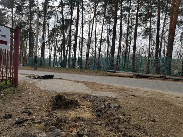 Пригородный лес тамбов фото In Tambov, the driver hit a pole and disconnected from the Internet almost the e