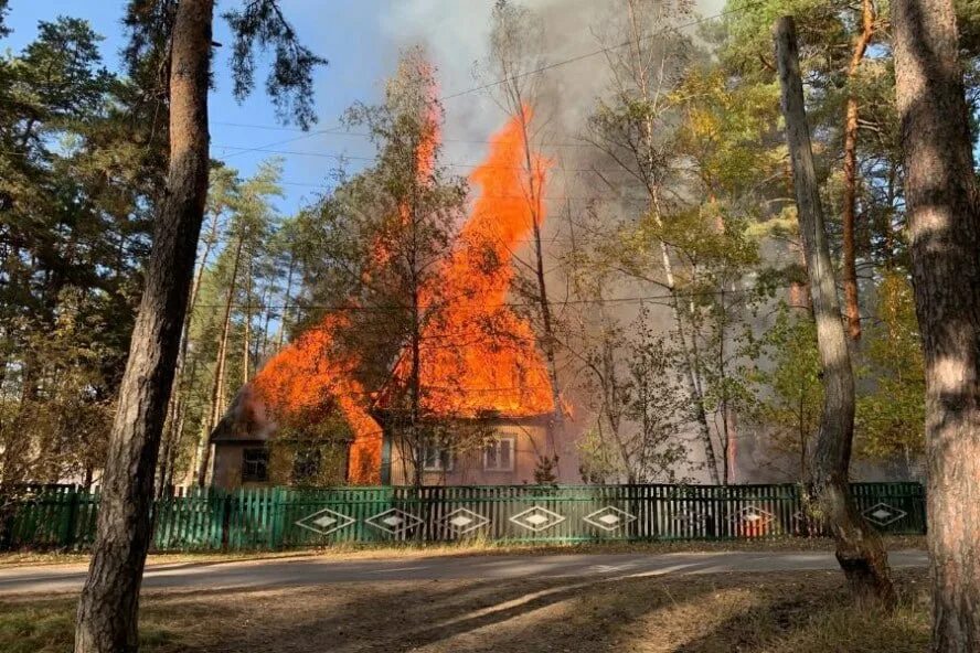 Пригородный лес тамбов фото В Пригородном лесу по неизвестной причине сгорели два дома - Тамбовский Репортер