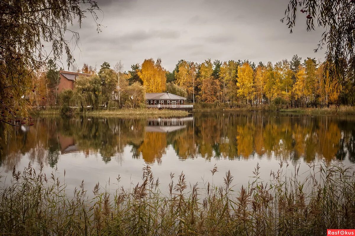 Пригородный лес тамбов фото Фото: Из серии.Тамбов Пригородный лес.. Фотограф Юрий К.. Природа. Фотосайт Расф