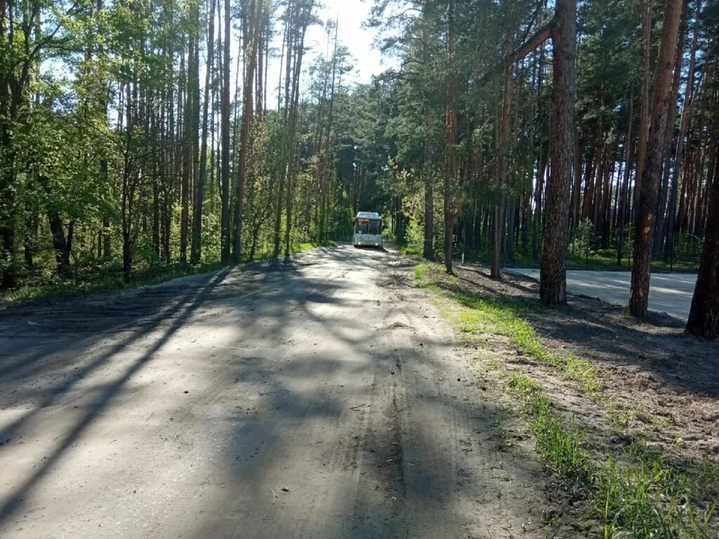 Пригородный лес тамбов фото Тамбовские чиновники рассказали о судьбе полуразрушенной дороги в застраивающемс