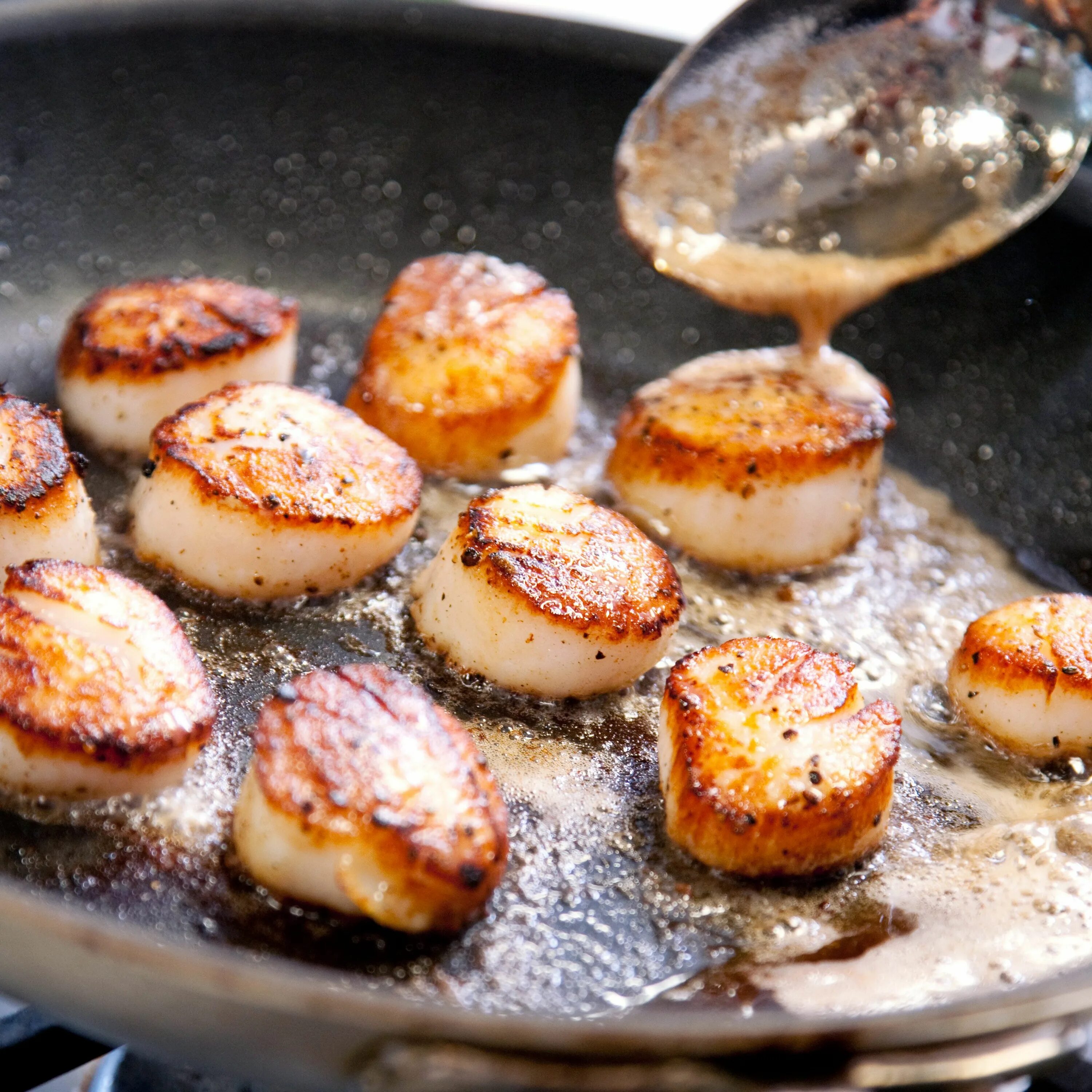 Приготовить морские гребешки фото Pan-Seared Scallops - America's Test Kitchen Scallop recipes, Scallops seared, R